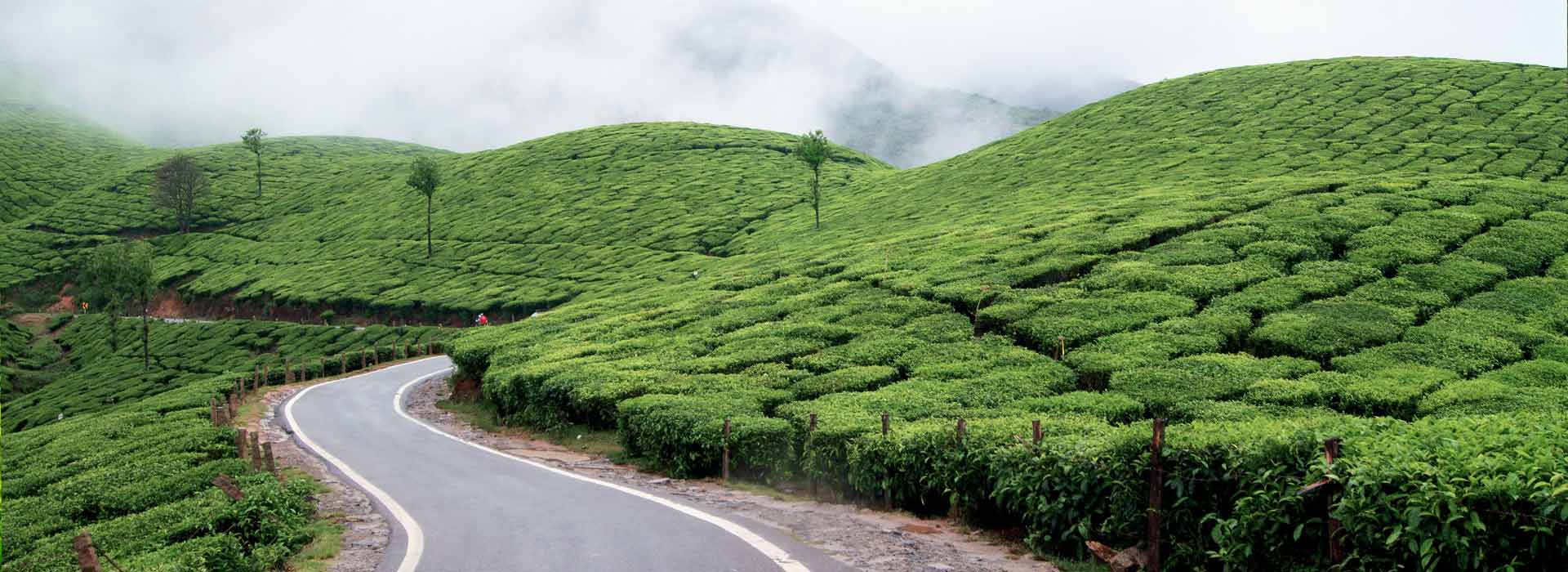 Munnar Tour Package